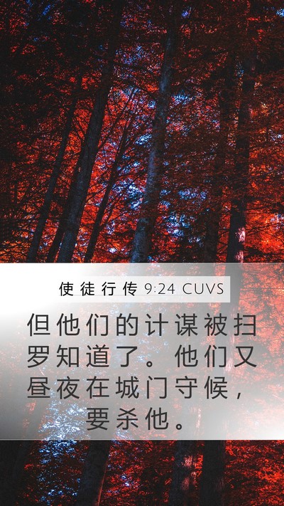 使 徒 行 传 9:24 CUVS Bible Verse Image