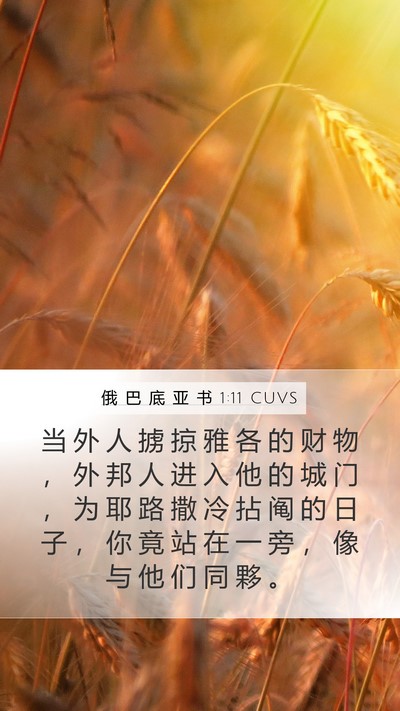 俄 巴 底 亚 书 1:11 CUVS Bible Verse Image