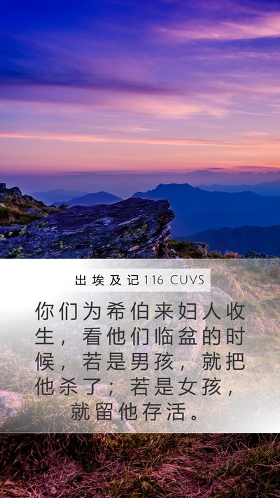 出 埃 及 记 1:16 CUVS Bible Verse Image