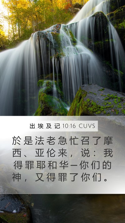 出 埃 及 记 10:16 CUVS Bible Verse Image