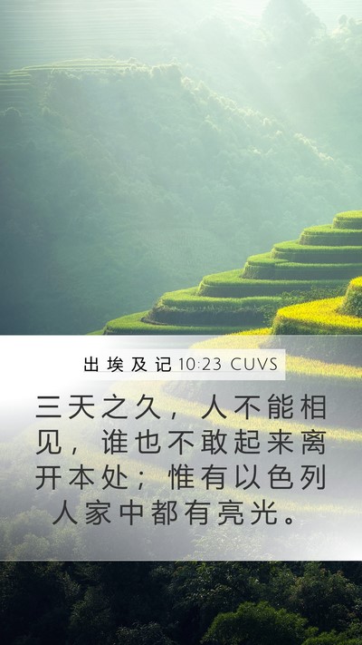 出 埃 及 记 10:23 CUVS Bible Verse Image