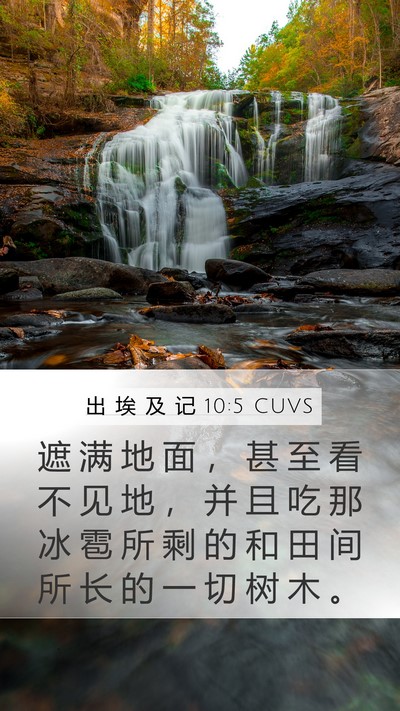 出 埃 及 记 10:5 CUVS Bible Verse Image