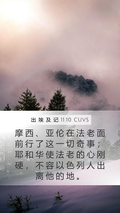 出 埃 及 记 11:10 CUVS Bible Verse Image