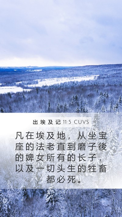 出 埃 及 记 11:5 CUVS Bible Verse Image