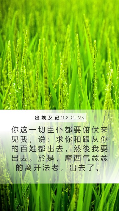 出 埃 及 记 11:8 CUVS Bible Verse Image