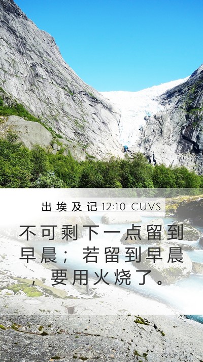 出 埃 及 记 12:10 CUVS Bible Verse Image