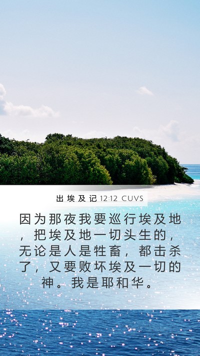 出 埃 及 记 12:12 CUVS Bible Verse Image
