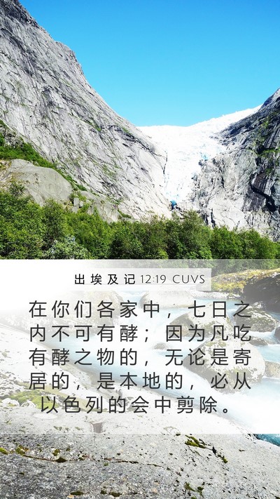 出 埃 及 记 12:19 CUVS Bible Verse Image