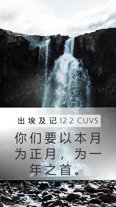 出 埃 及 记 12:2 CUVS Bible Verse Image