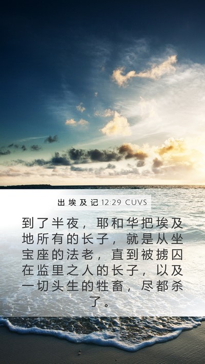 出 埃 及 记 12:29 CUVS Bible Verse Image