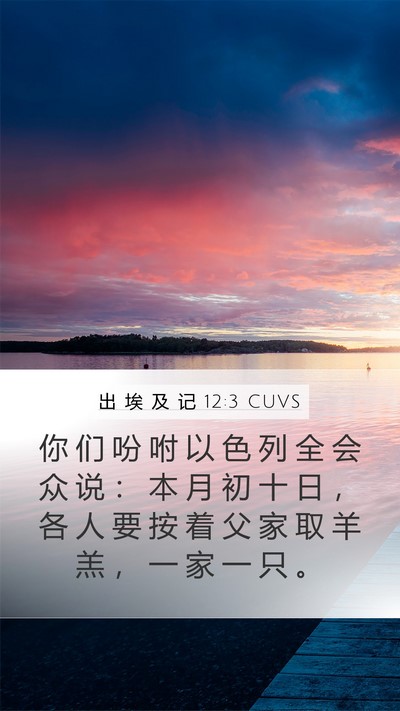 出 埃 及 记 12:3 CUVS Bible Verse Image