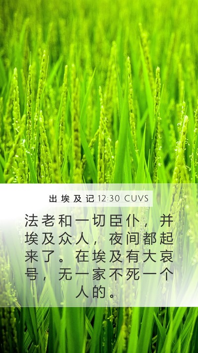 出 埃 及 记 12:30 CUVS Bible Verse Image