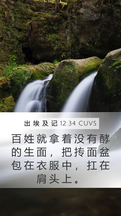 出 埃 及 记 12:34 CUVS Bible Verse Image