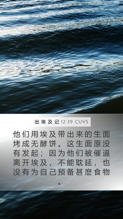 出 埃 及 记 12:39 CUVS Bible Verse Image