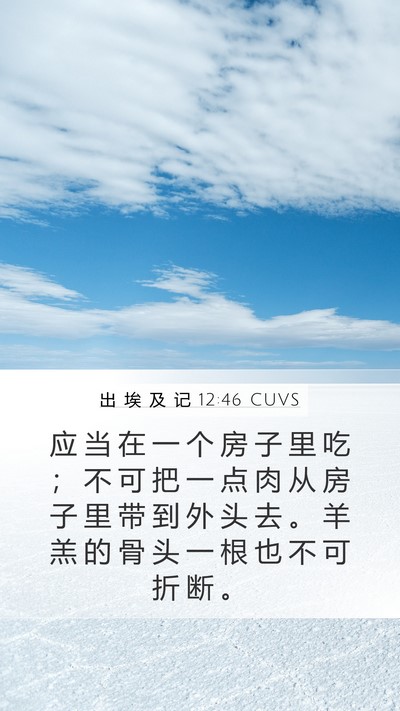 出 埃 及 记 12:46 CUVS Bible Verse Image
