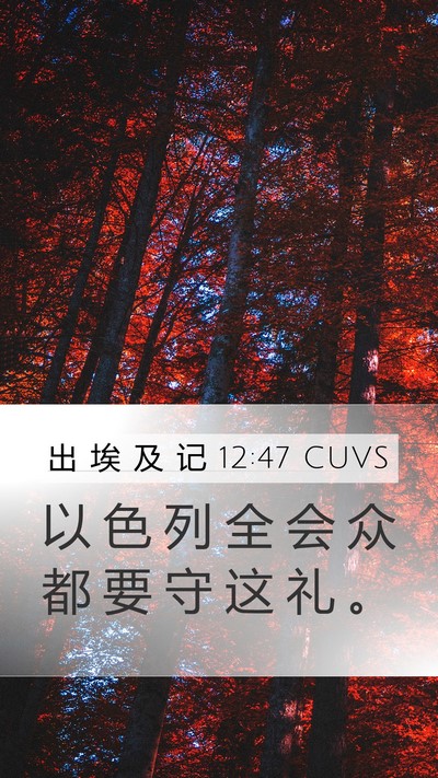 出 埃 及 记 12:47 CUVS Mobile Phone Wallpaper - 以 色 列 全 会 众 都 要 守 这 礼 - Mobile Bible Verse Wallpaper