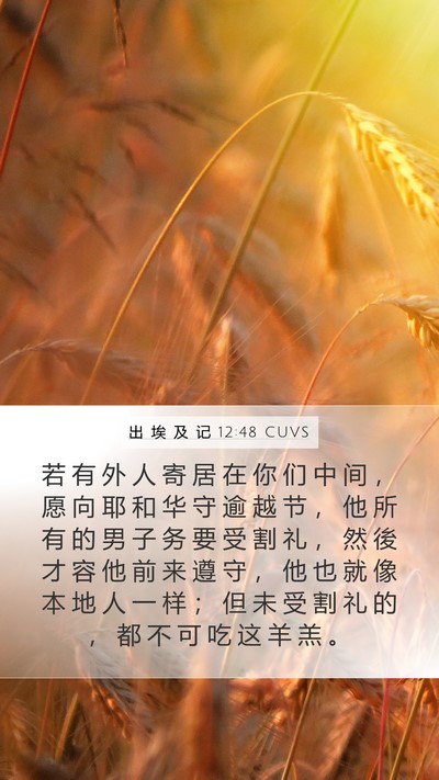 出 埃 及 记 12:48 CUVS Bible Verse Image