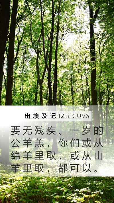 出 埃 及 记 12:5 CUVS Bible Verse Image