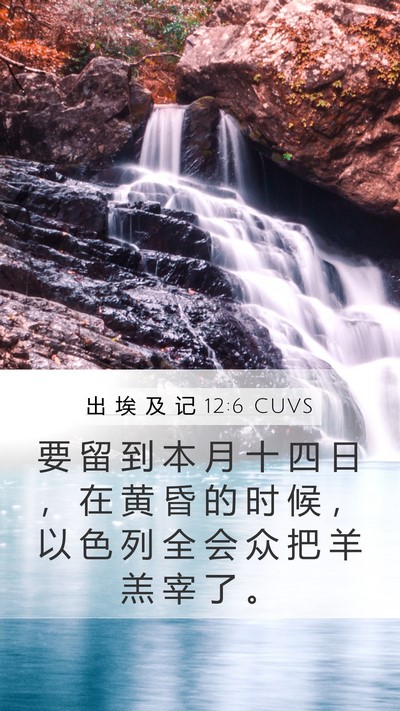 出 埃 及 记 12:6 CUVS Bible Verse Image