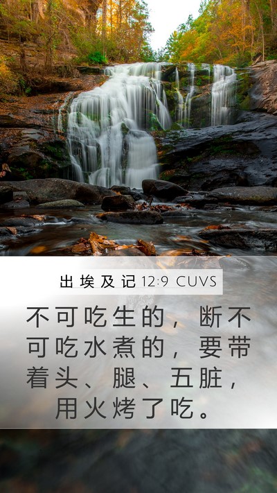 出 埃 及 记 12:9 CUVS Mobile Phone Wallpaper - 不 可 吃 生 的 ， 断 不 可 吃 水 煮 - Mobile Bible Verse Wallpaper