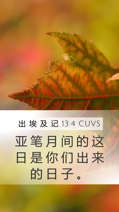 出 埃 及 记 13:4 CUVS Bible Verse Image