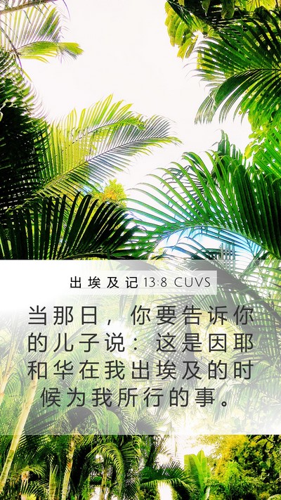 出 埃 及 记 13:8 CUVS Bible Verse Image
