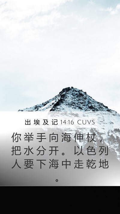 出 埃 及 记 14:16 CUVS Bible Verse Image