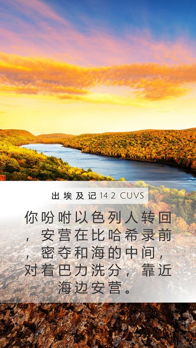 出 埃 及 记 14:2 CUVS Bible Verse Image