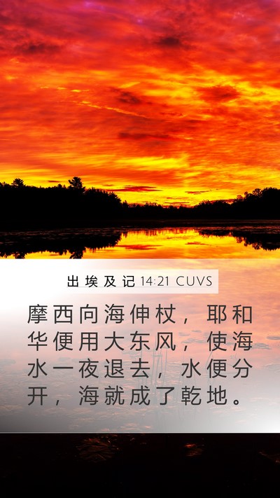 出 埃 及 记 14:21 CUVS Bible Verse Image