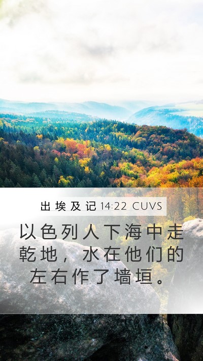 出 埃 及 记 14:22 CUVS Bible Verse Image