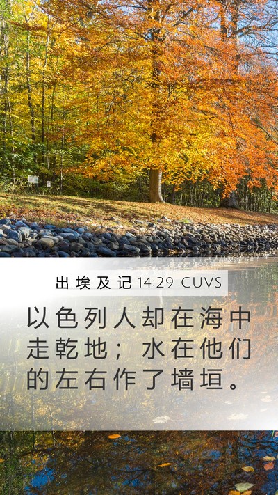 出 埃 及 记 14:29 CUVS Bible Verse Image