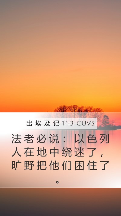出 埃 及 记 14:3 CUVS Bible Verse Image