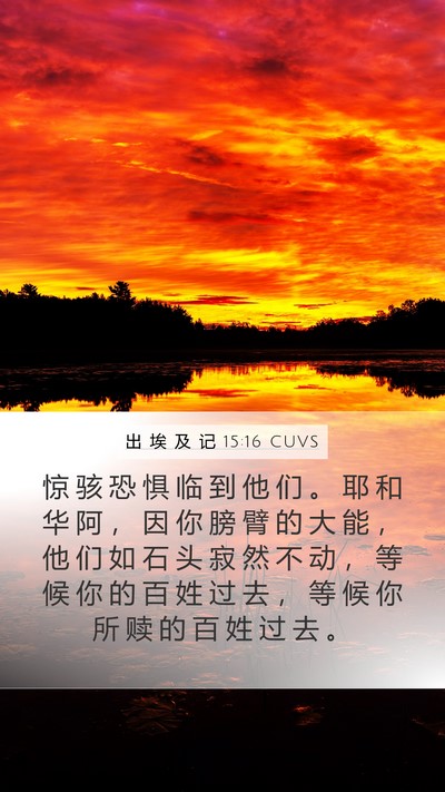 出 埃 及 记 15:16 CUVS Bible Verse Image