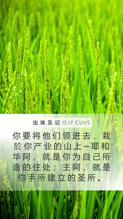 出 埃 及 记 15:17 CUVS Bible Verse Image