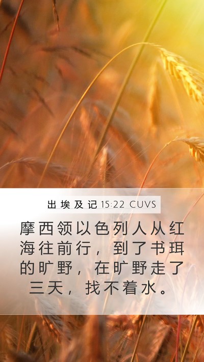 出 埃 及 记 15:22 CUVS Bible Verse Image