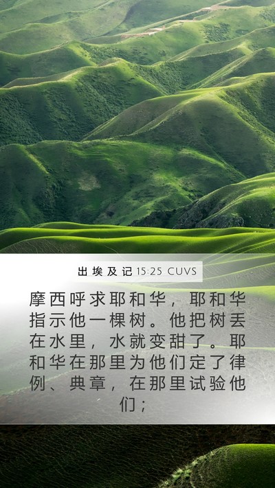 出 埃 及 记 15:25 CUVS Bible Verse Image