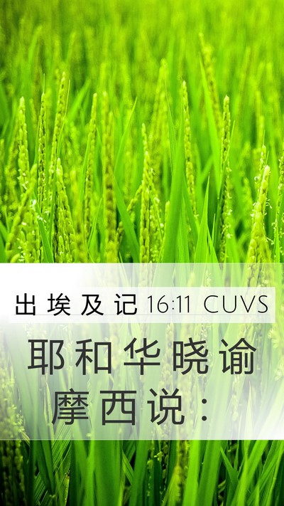 出 埃 及 记 16:11 CUVS Mobile Phone Wallpaper - 耶 和 华 晓 谕 摩 西 说 - Mobile Bible Verse Wallpaper