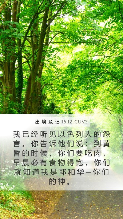 出 埃 及 记 16:12 CUVS Bible Verse Image