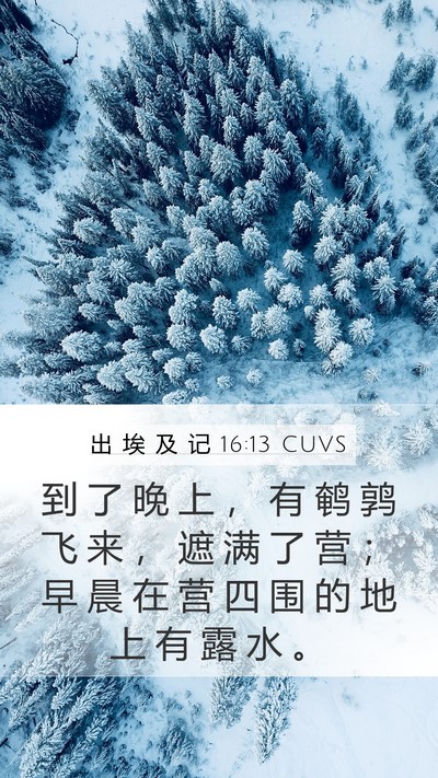 出 埃 及 记 16:13 CUVS Bible Verse Image