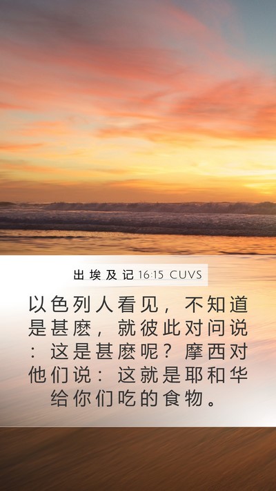 出 埃 及 记 16:15 CUVS Bible Verse Image