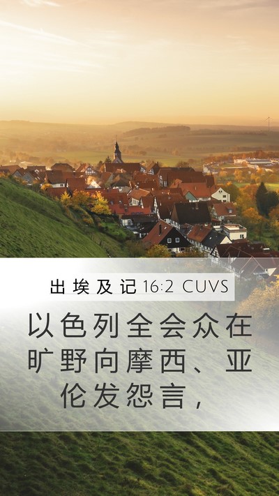 出 埃 及 记 16:2 CUVS Bible Verse Image