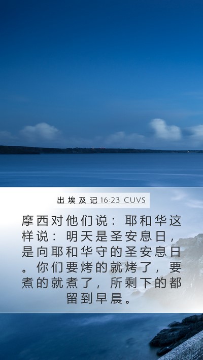 出 埃 及 记 16:23 CUVS Bible Verse Image