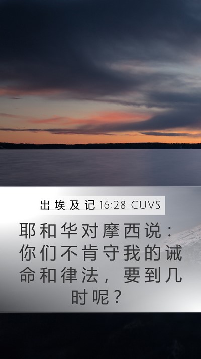 出 埃 及 记 16:28 CUVS Bible Verse Image