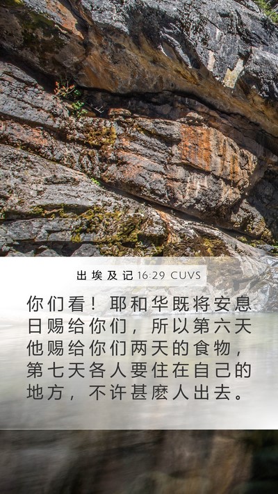 出 埃 及 记 16:29 CUVS Bible Verse Image