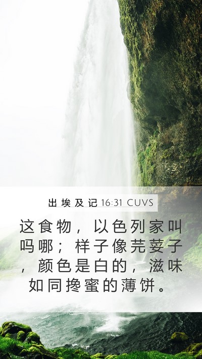 出 埃 及 记 16:31 CUVS Bible Verse Image