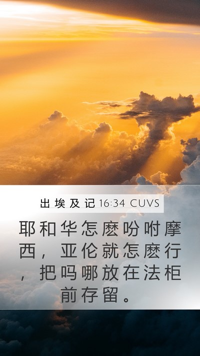 出 埃 及 记 16:34 CUVS Bible Verse Image