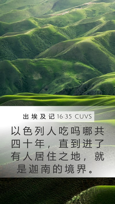出 埃 及 记 16:35 CUVS Bible Verse Image
