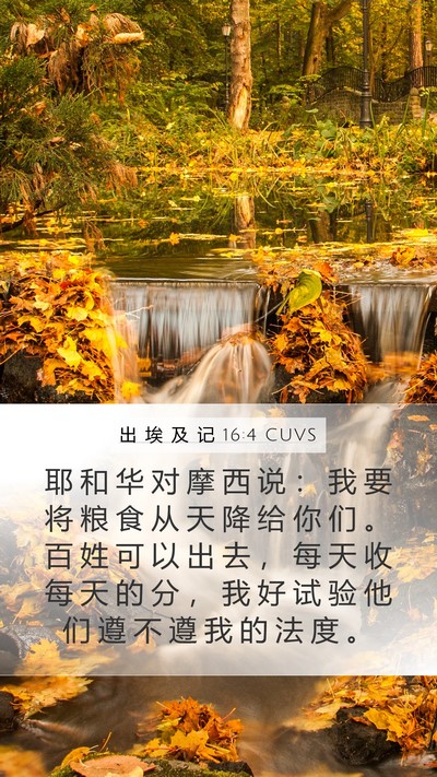 出 埃 及 记 16:4 CUVS Bible Verse Image