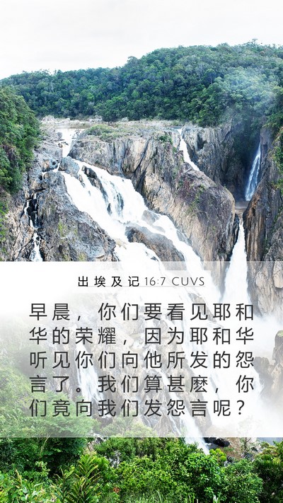 出 埃 及 记 16:7 CUVS Bible Verse Image