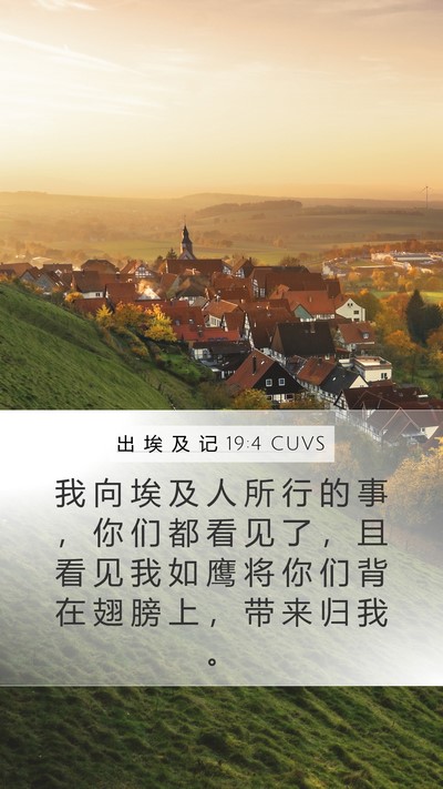出 埃 及 记 19:4 CUVS Bible Verse Image